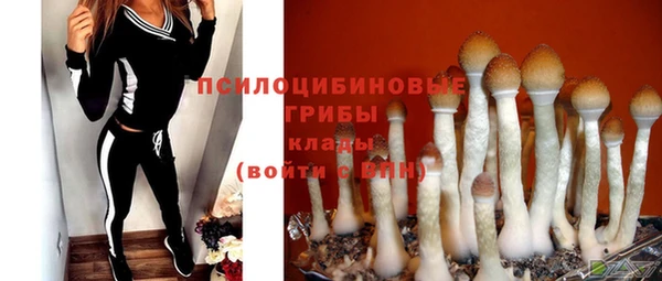 apvp Лихославль