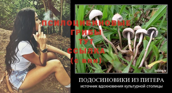 эйфоретик Лабытнанги