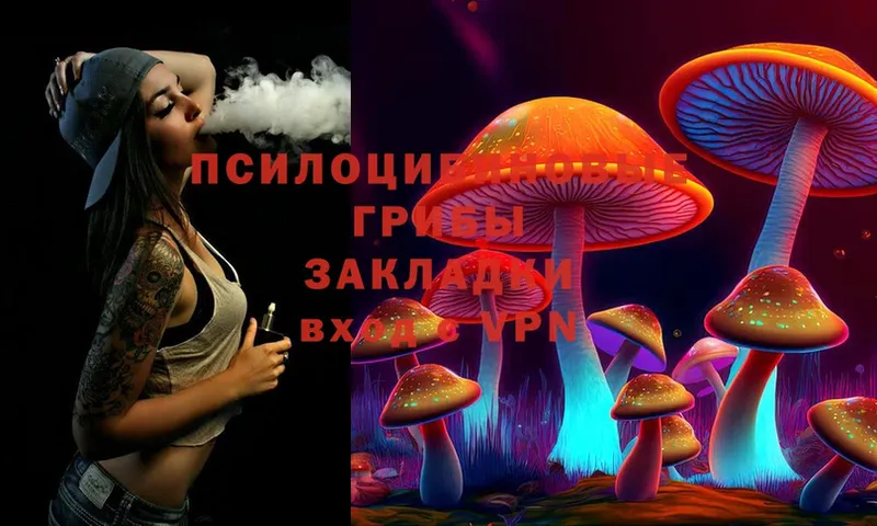 что такое наркотик  Ликино-Дулёво  Галлюциногенные грибы MAGIC MUSHROOMS 